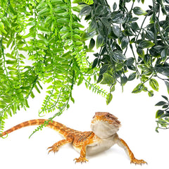 Hamiledyi plante terrarium liane petite feuille style a, parfaite pour cachettes miniatures.