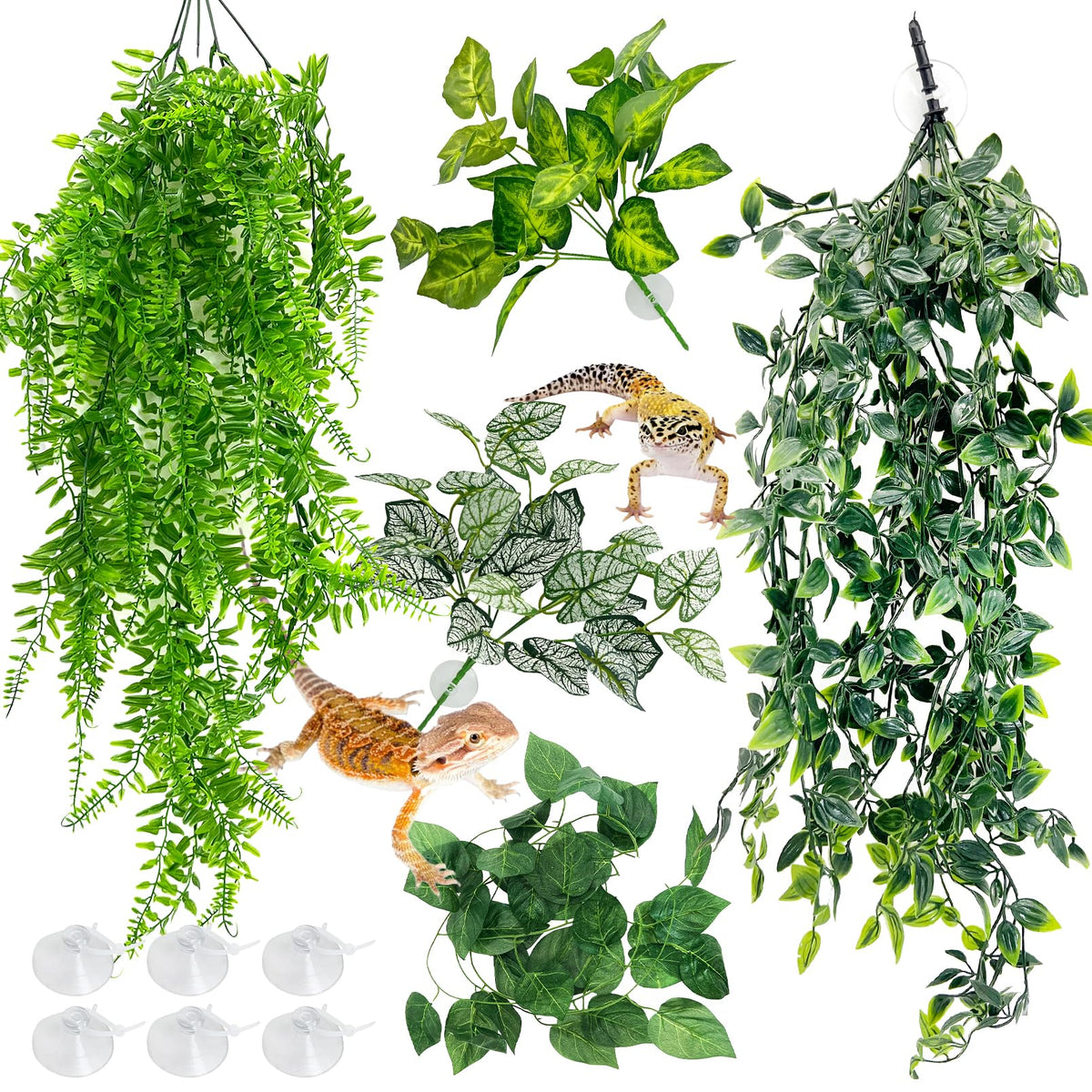 Hamiledyi plante terrarium suspendue grande feuille style a, idéale pour créer un espace caché.