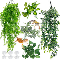 Hamiledyi plante terrarium suspendue grande feuille style a, idéale pour créer un espace caché.