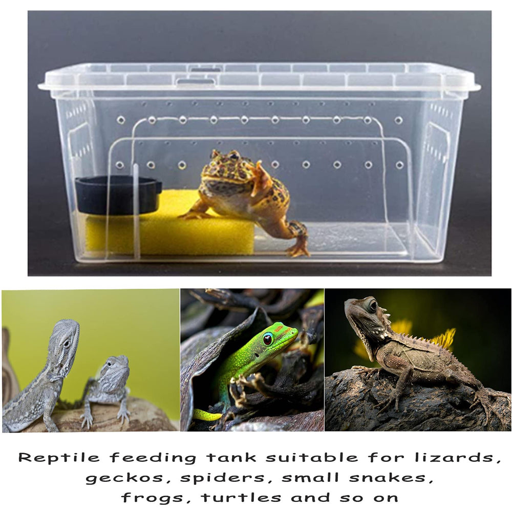 Hamiledyi plastique durable pour reptiles, usage répété.