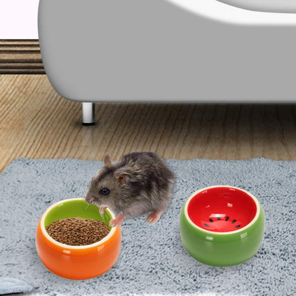 Hamiledyi plat compact ceramique hamster, accès facile pour petites bouches.