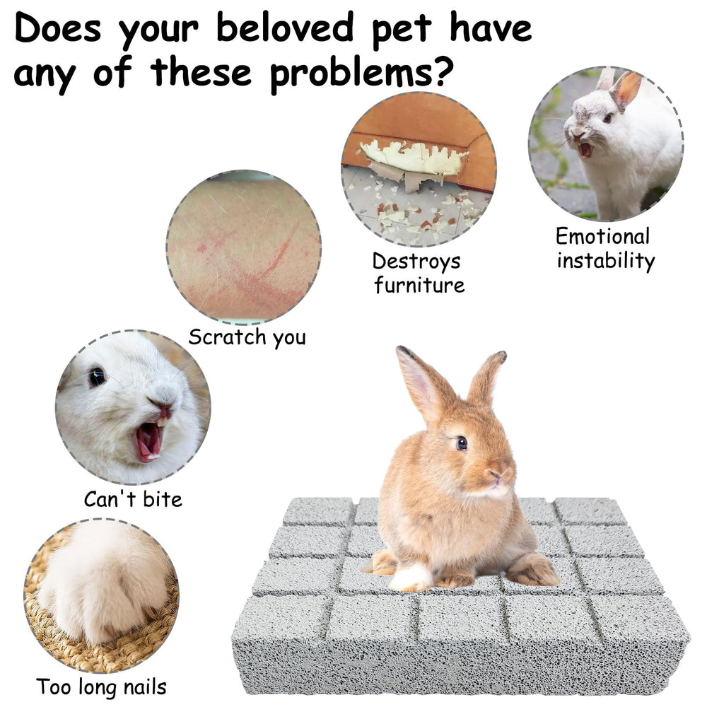 Hamiledyi-plateau-rongeurs-petits: enrichissement pratique dans la cage pour occuper les animaux.