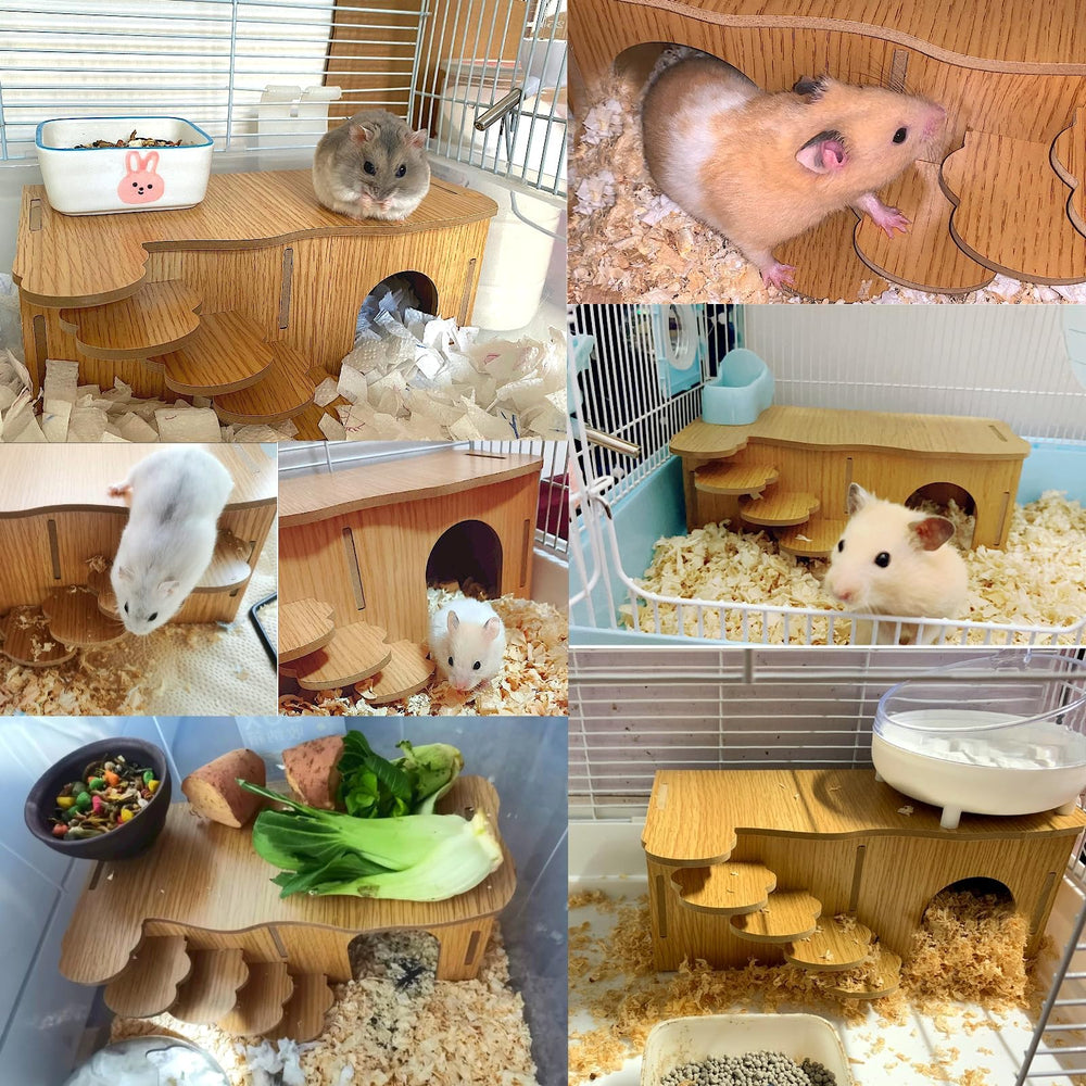Hamiledyi plateforme hamster — point d’observation pratique avec accès nourriture.