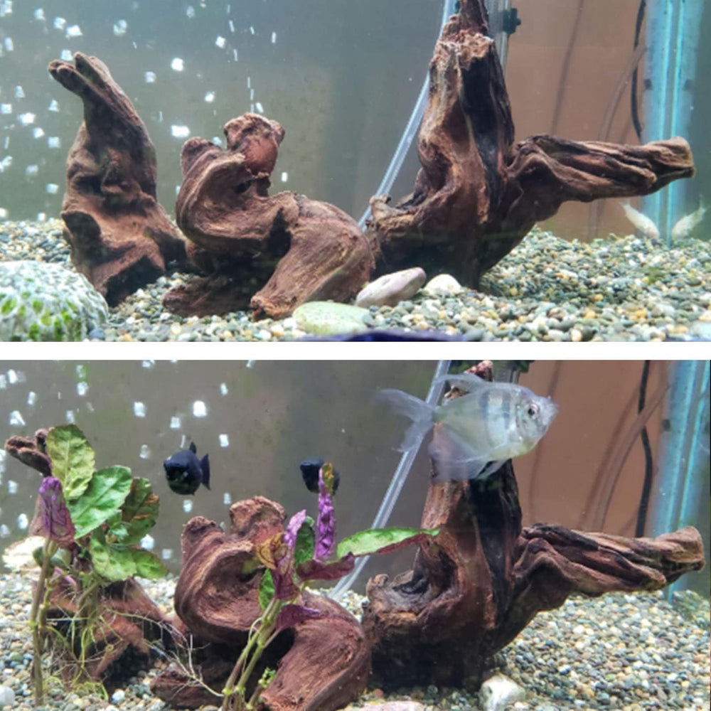 Hamiledyi ramification bois flotte, branches pour creer espaces de jeu