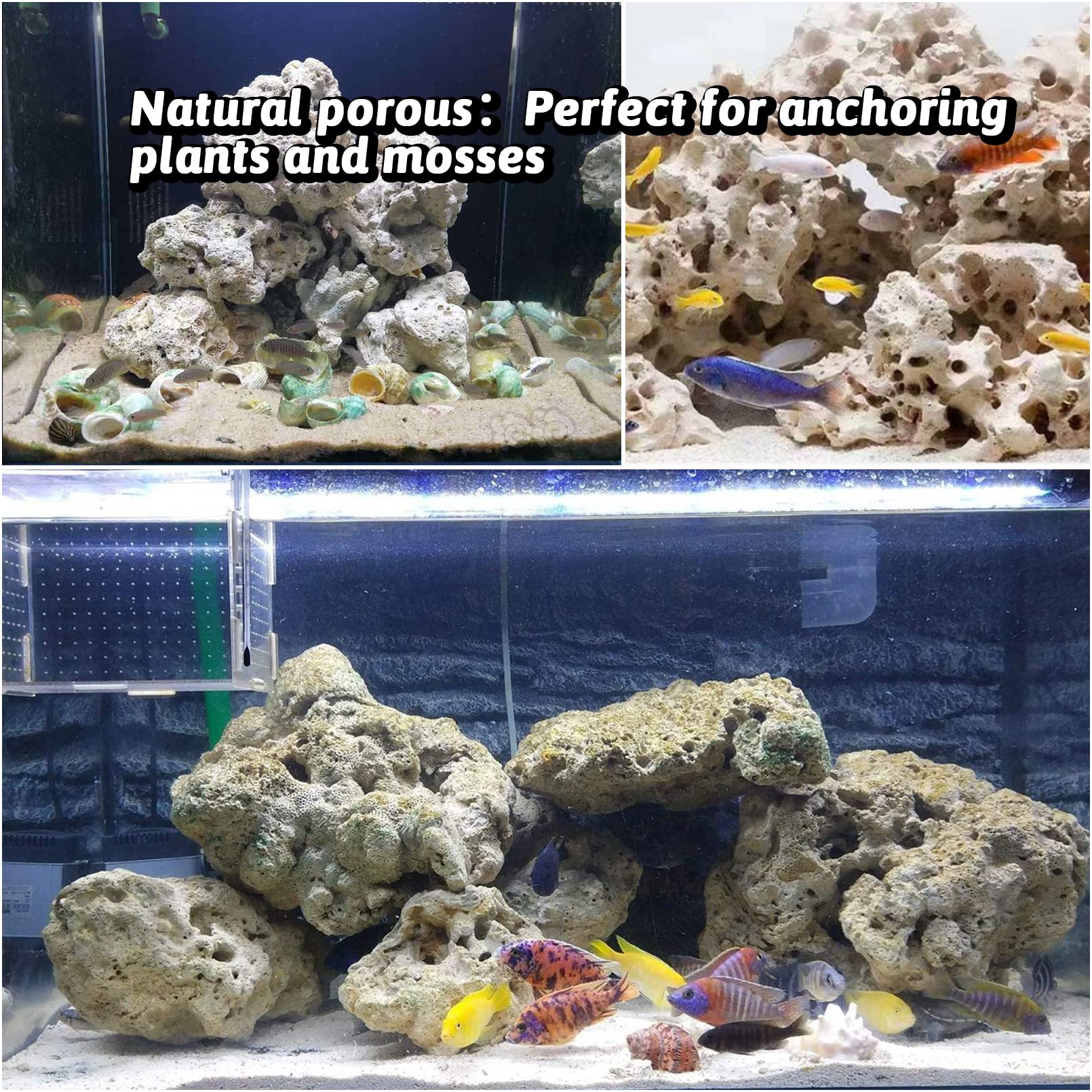 Hamiledyi roche decor pour aquarium, paysage naturel et zones ombragees.