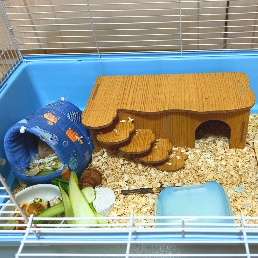 Hamiledyi taille compacte — convient aux petits hamsters et gerbilles.