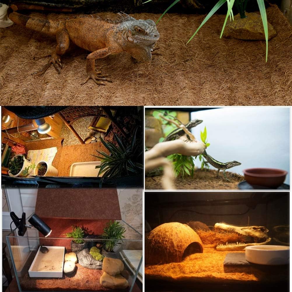 Hamiledyi Reptile Carpet Arrière-plan: deux tapis propres prêts à l'emploi