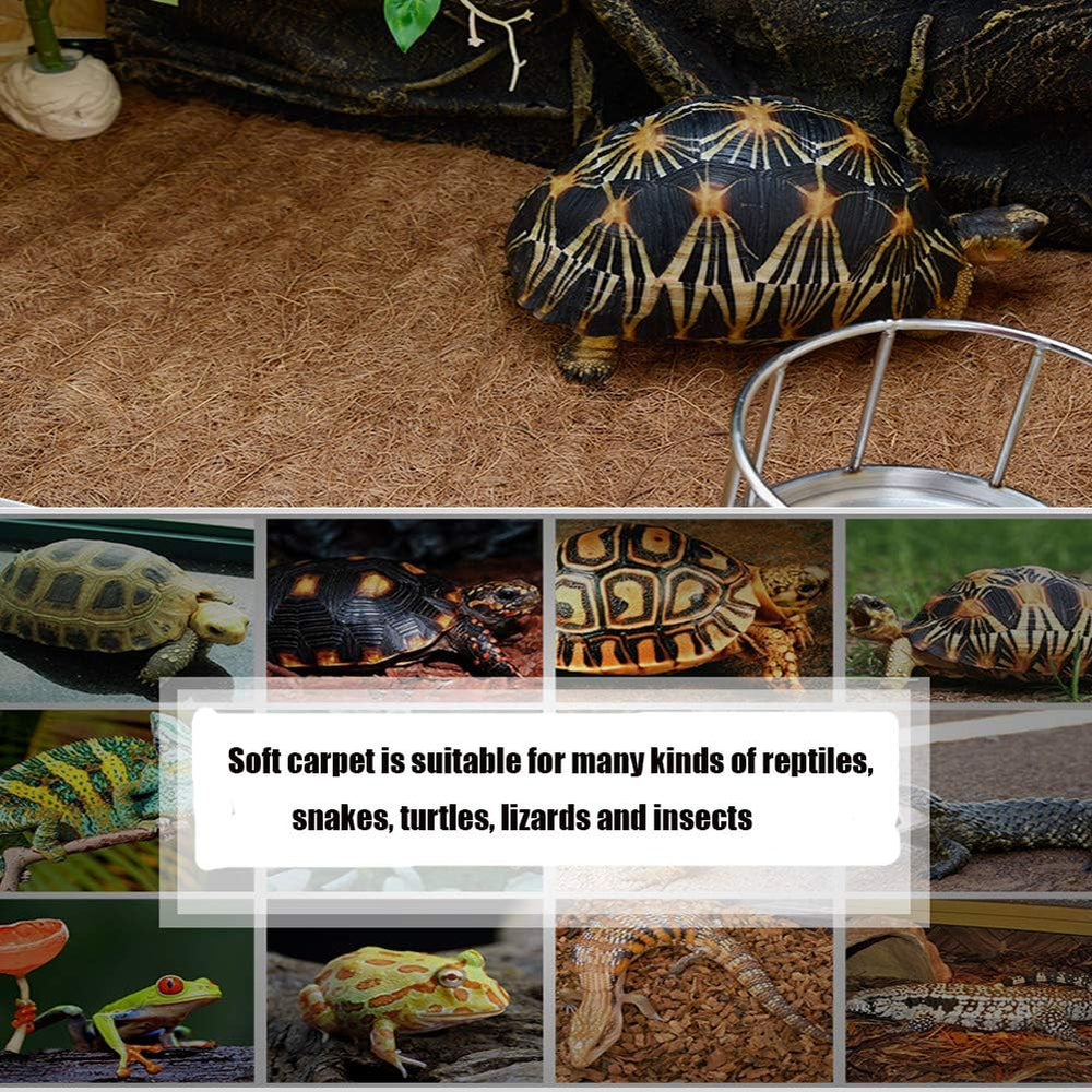 Hamiledyi Reptile Carpet Couleurs-multiples: personnalise l'habitat