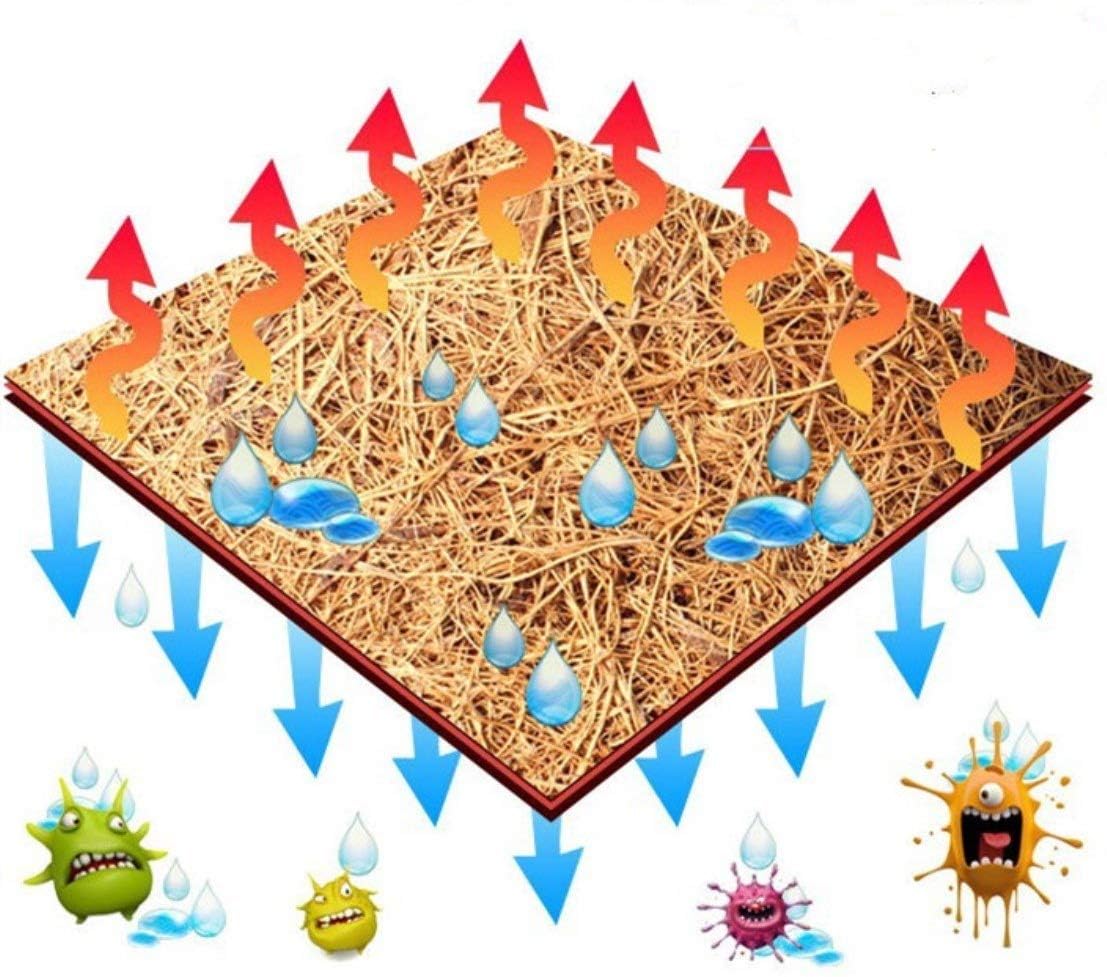 Hamiledyi Reptile Carpet Installation-terrarium: prêt à poser et sécuriser