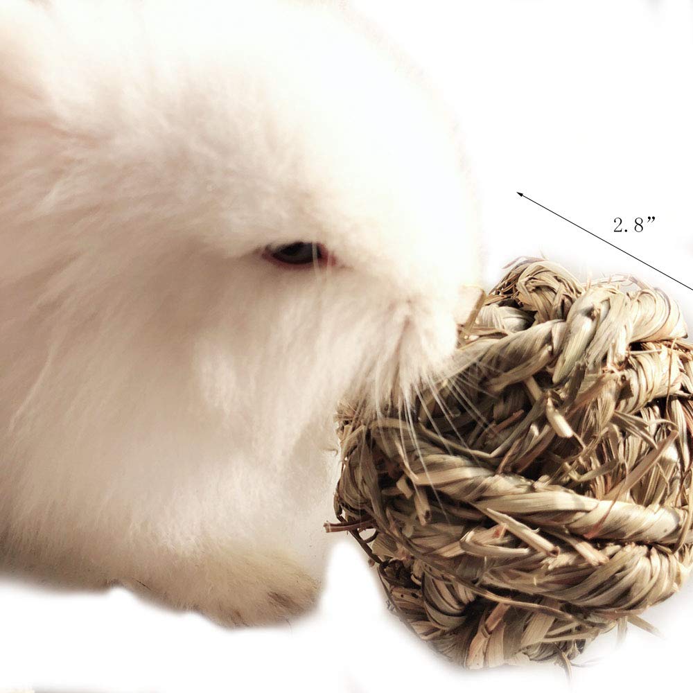 Texture naturelle dense de la boule Hamiledyi pour ronger en douceur