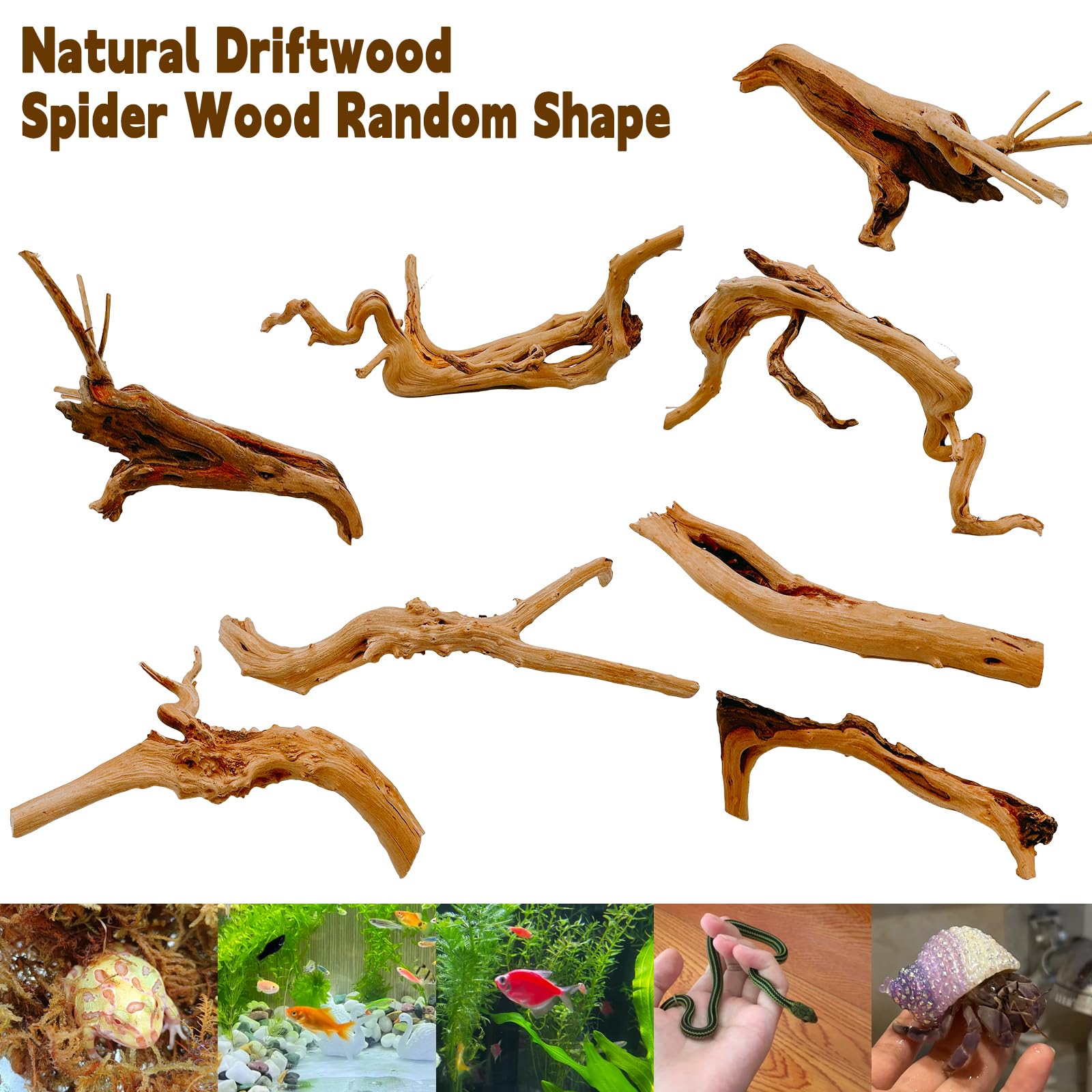 Hamiledyi décor bois flotte, ensemble 3 pièces, parfait pour vivarium et aquarium.