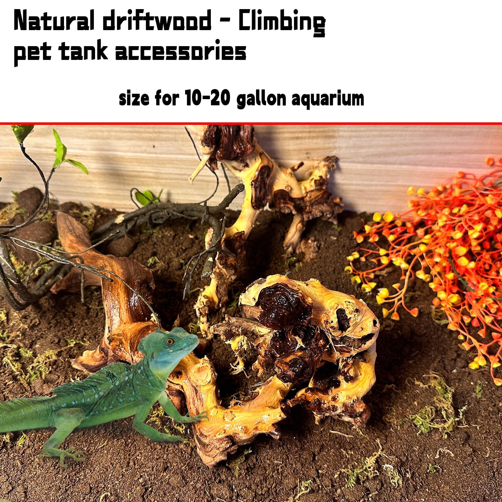 Hamiledyi troncs bois flotte, structure durable pour reptiles