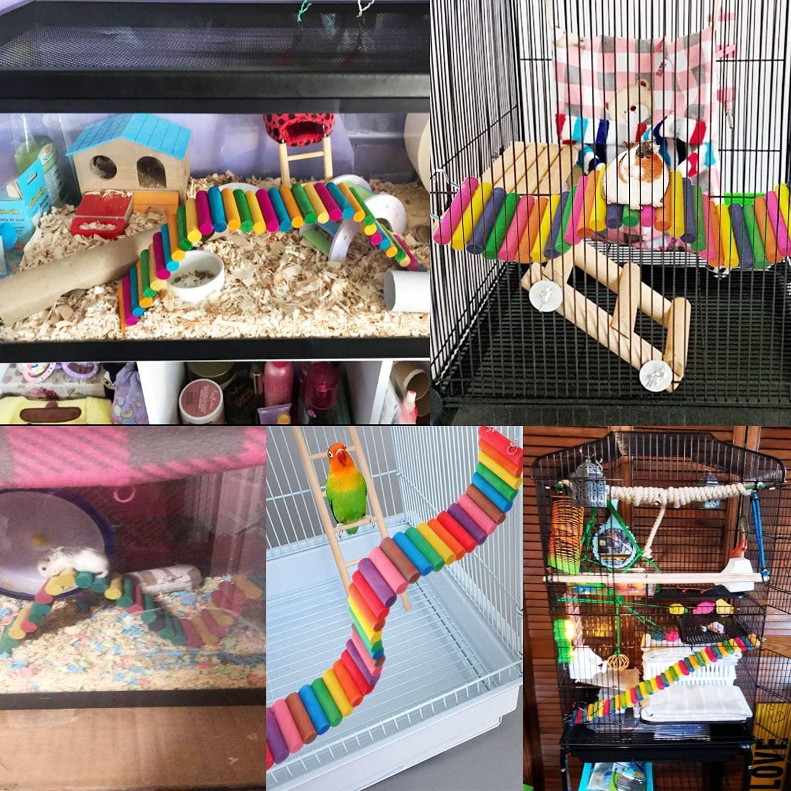Hamiledyi zone de jeu sécurisée, endroit convivial pour petits animaux.