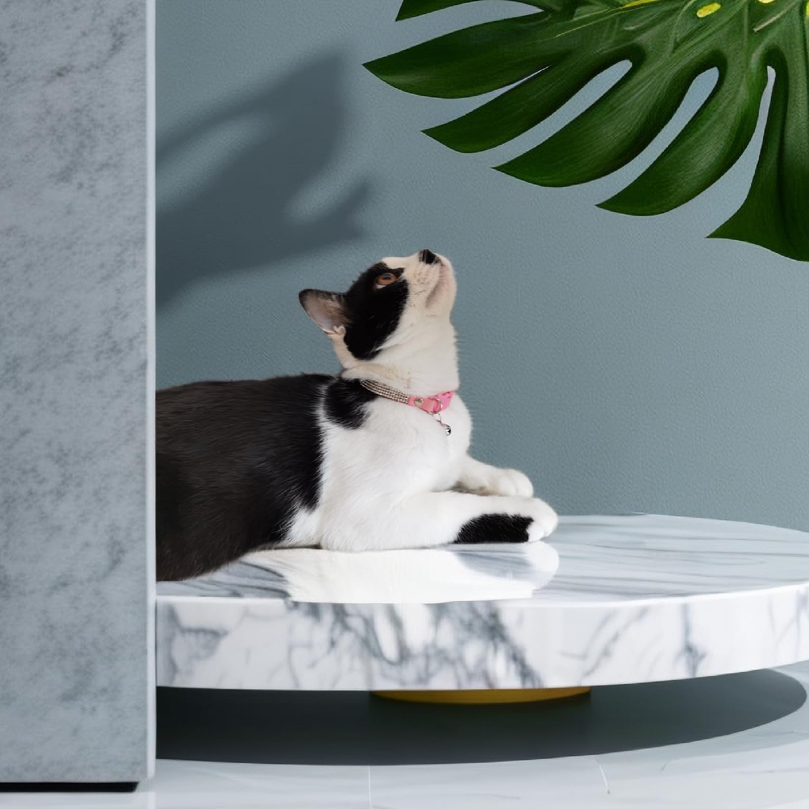 HAMUSN collier chat avec cloche amovible signalant la présence.