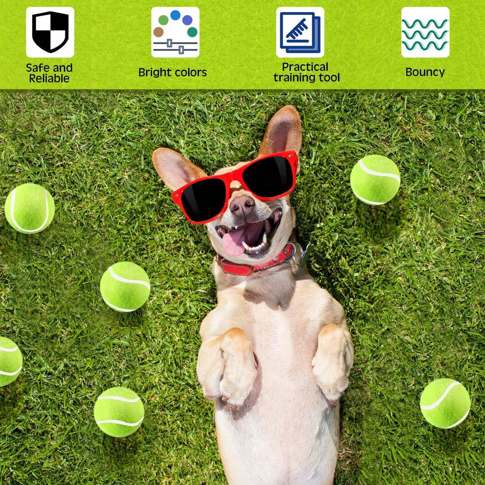 Balle Hanaive tennis petit format 2 pouces adaptée petits chiens