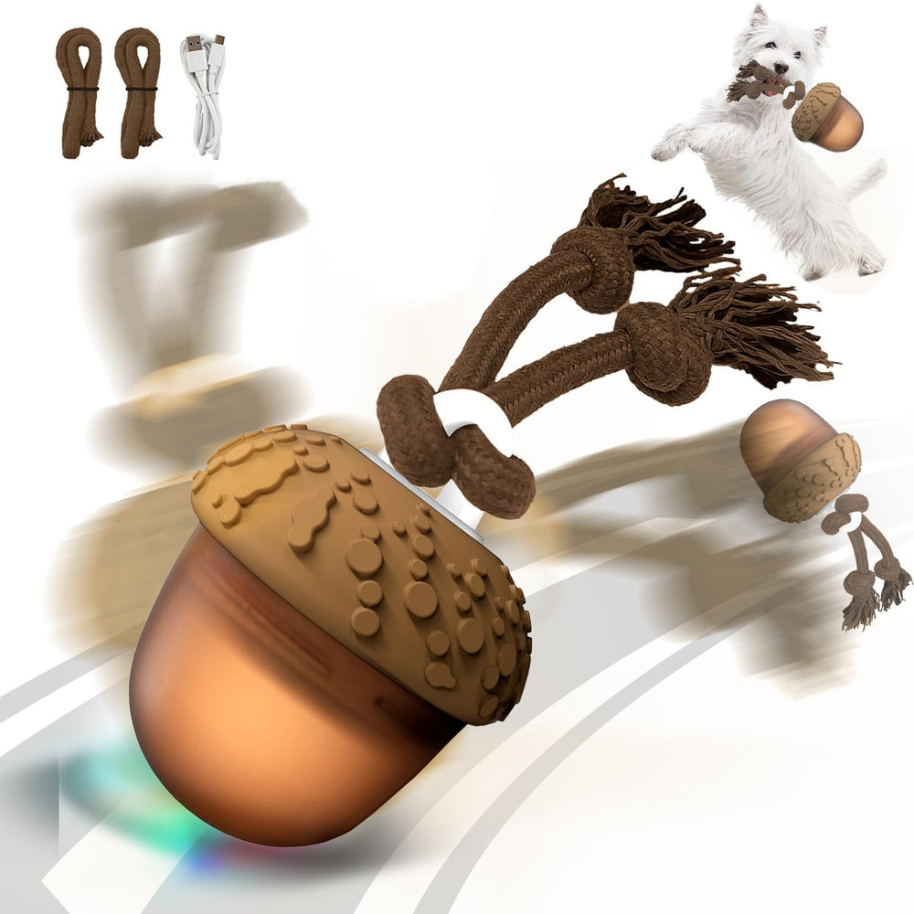 Balle interactive Hanarook pour chiens qui roule et excite l’exercice.