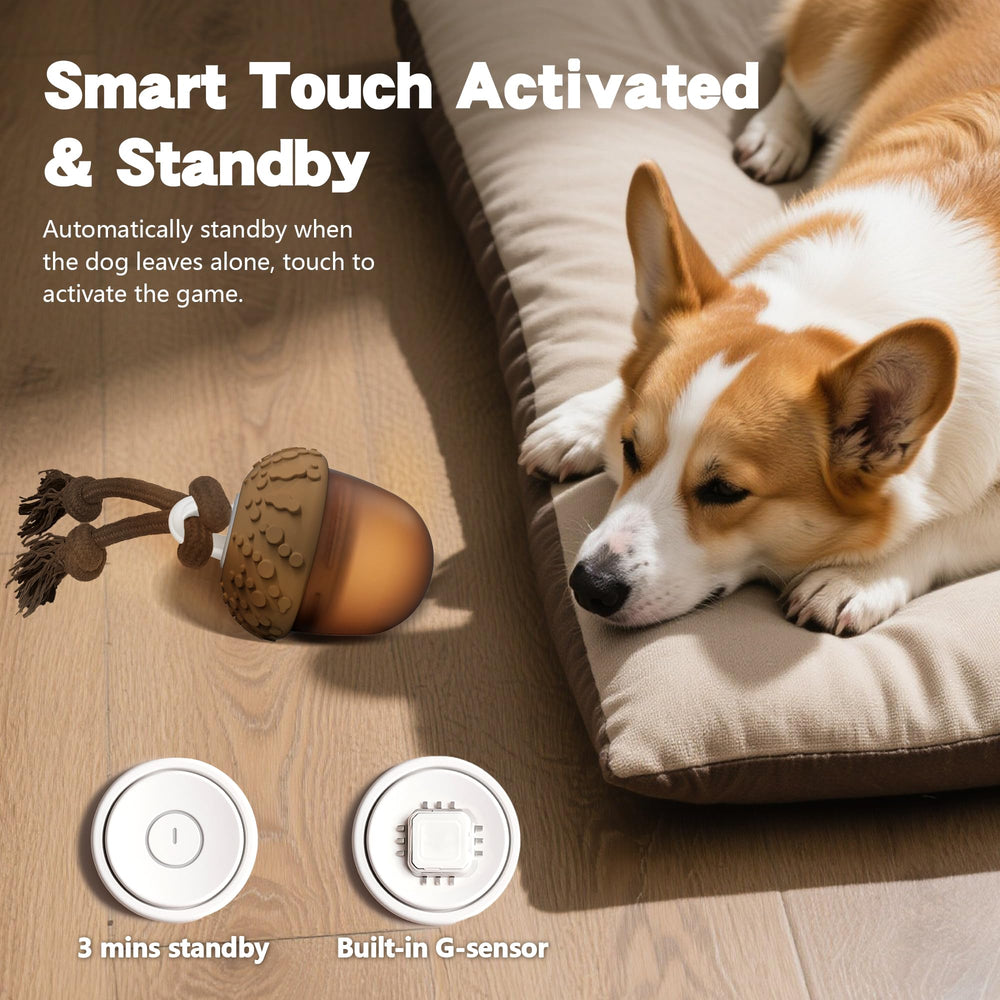 Mode lente: mouvement mesuré pour chiens moins actifs.