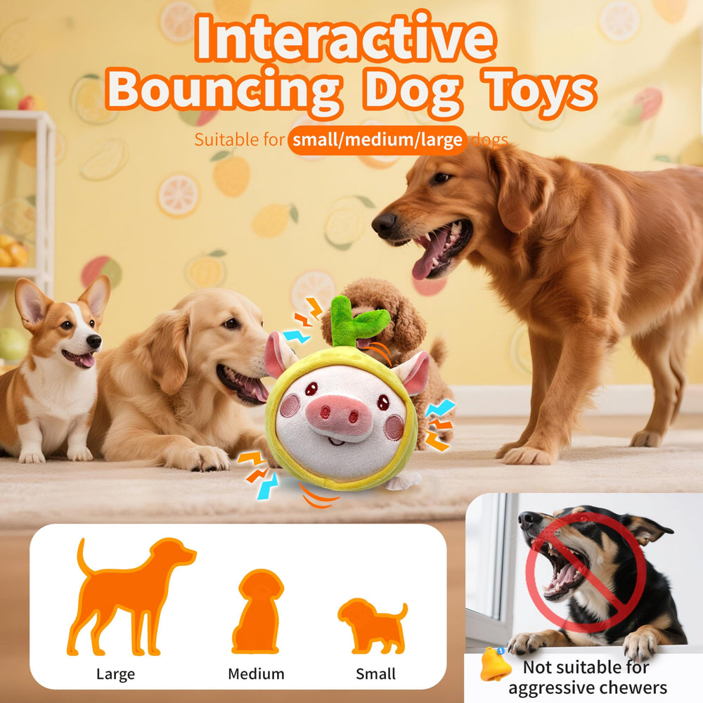 Mouvement autonome, jouet qui roule tout seul pour chiens actifs.