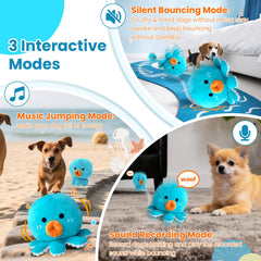 Texture peluche double couche Hanarook, résistante et agréable pour mordiller sans danger.