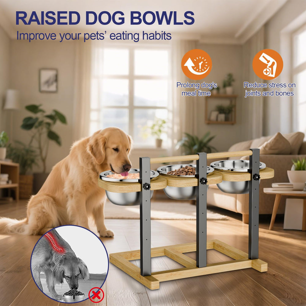 Base large et stable handrong pour éviter les glissements lors du repas