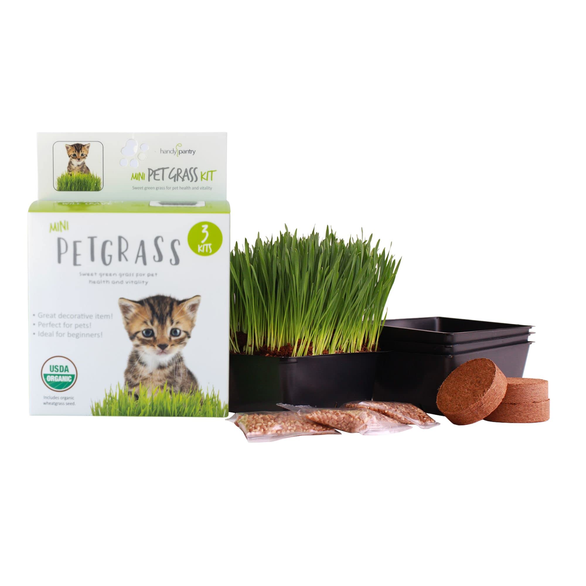 Kit Handy Pantry Cat Grass Kit – ensemble plateaux, germination rapide pour herbe-chat.