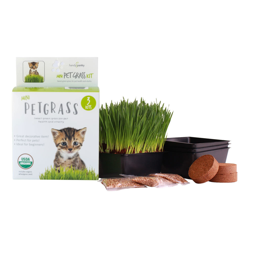 Kit Handy Pantry Cat Grass Kit – ensemble plateaux, germination rapide pour herbe-chat.