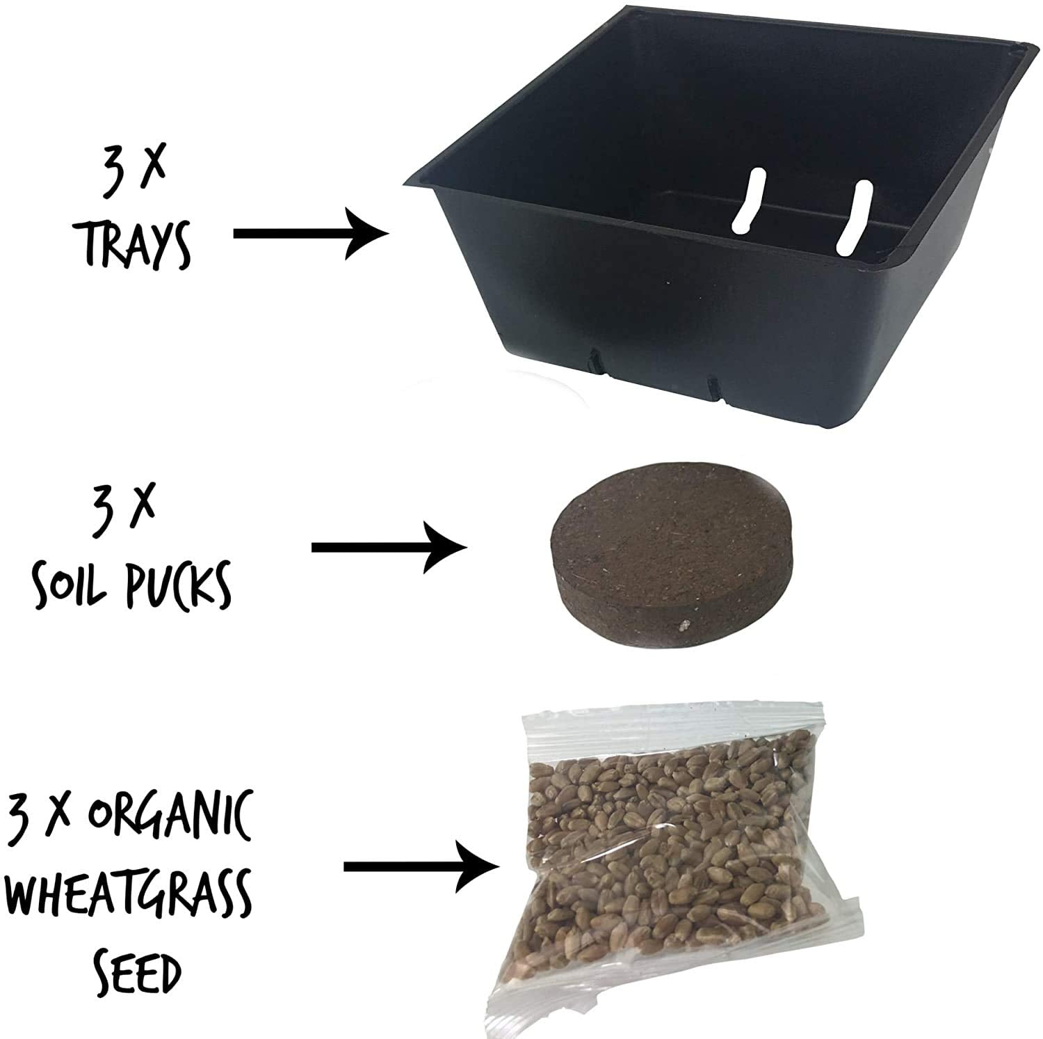 Handy Pantry Croissance-herbe-chat-interieur – pousse propre et sans désordre.