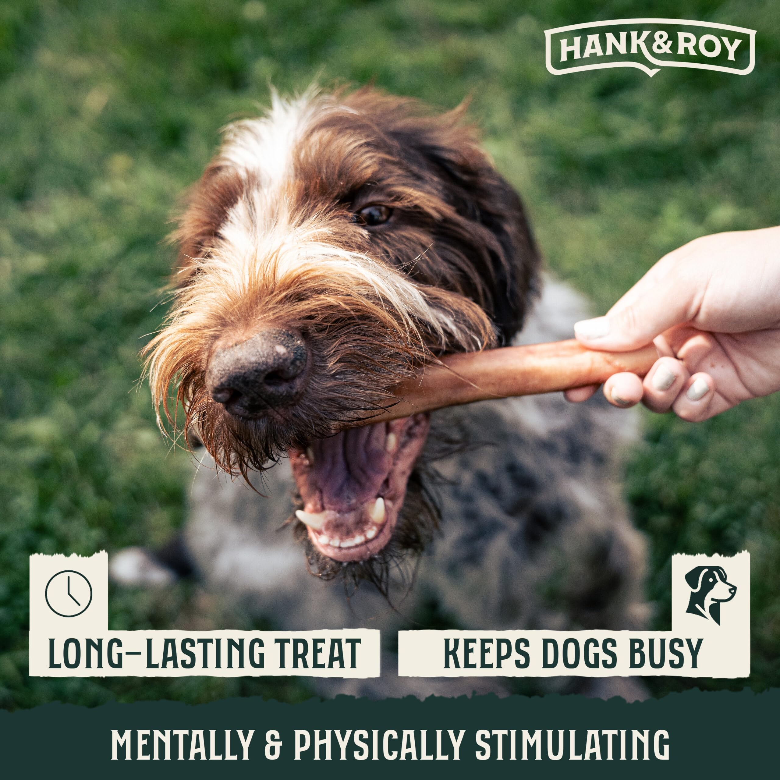 Utilisation potentielle pour l’hygiène bucco-dentaire naturelle des chiens.