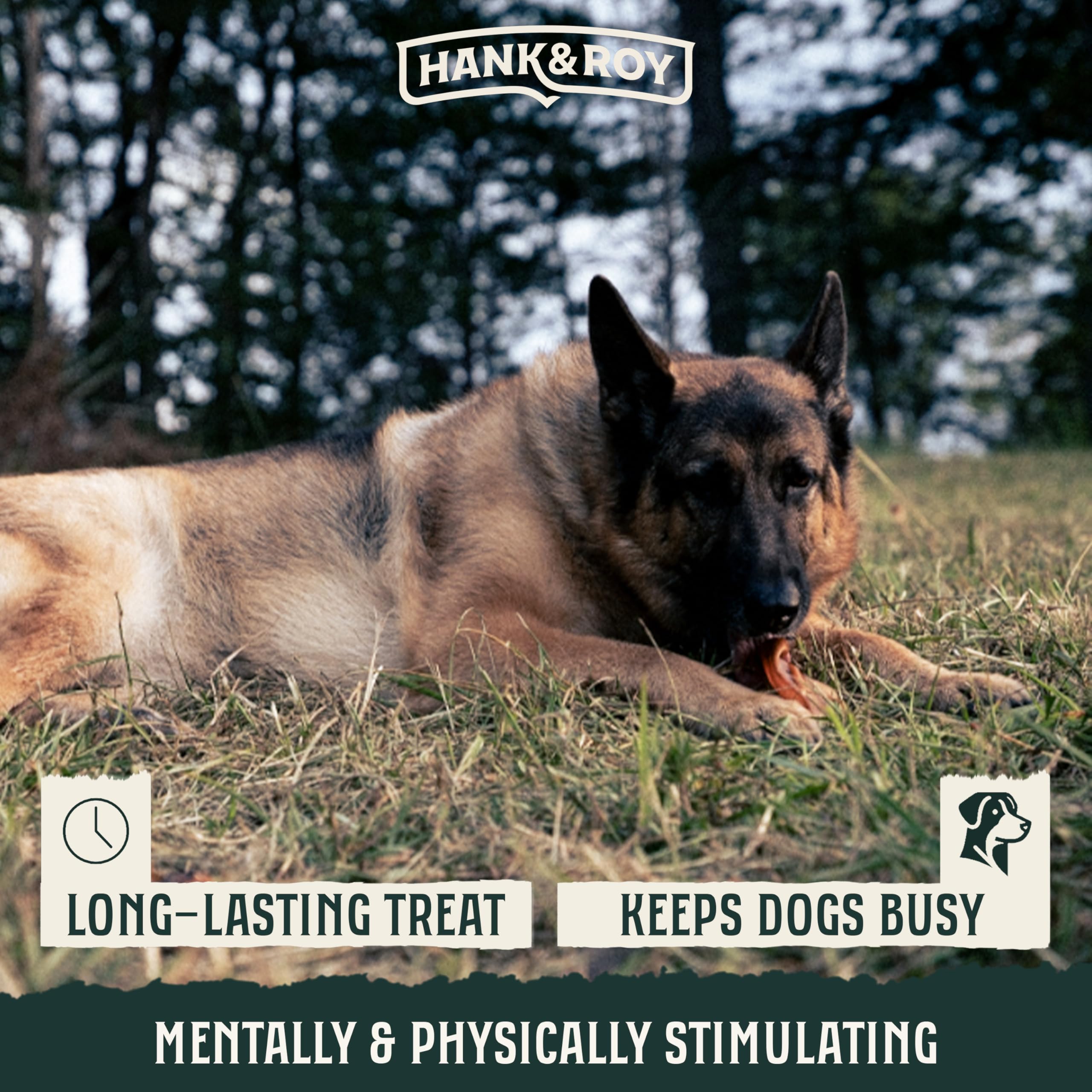 Hank and Roy LLC oreilles de porc pour chien, sans hormones ni antibiotiques.