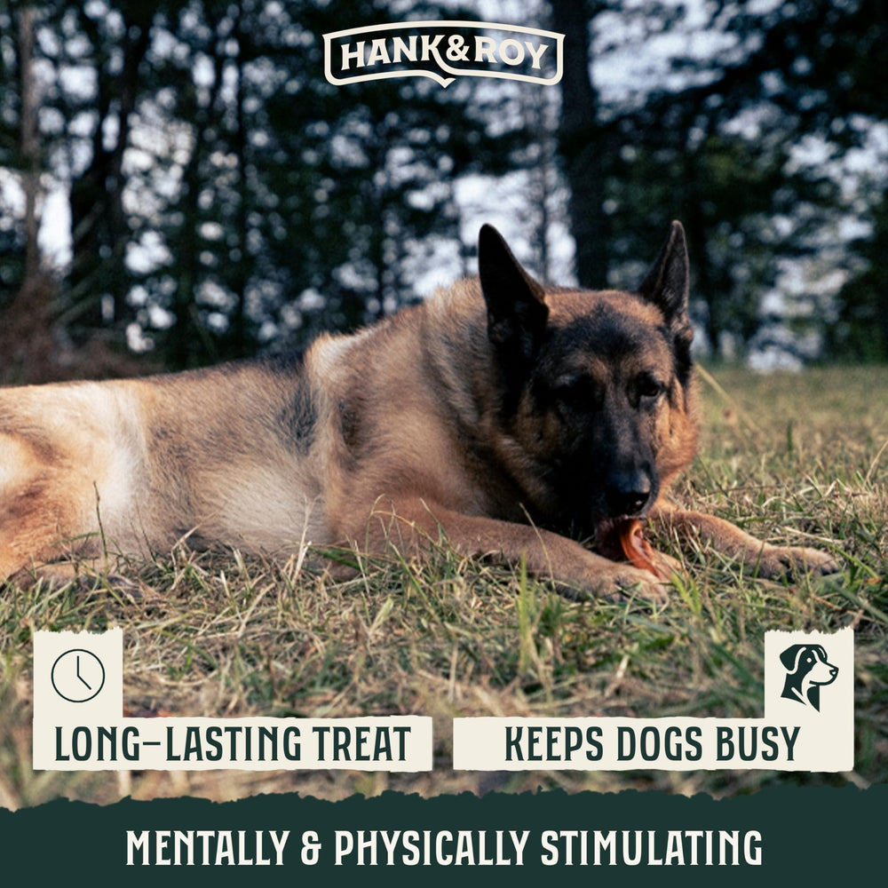 Hank and Roy LLC oreilles de porc pour chien, sans hormones ni antibiotiques.