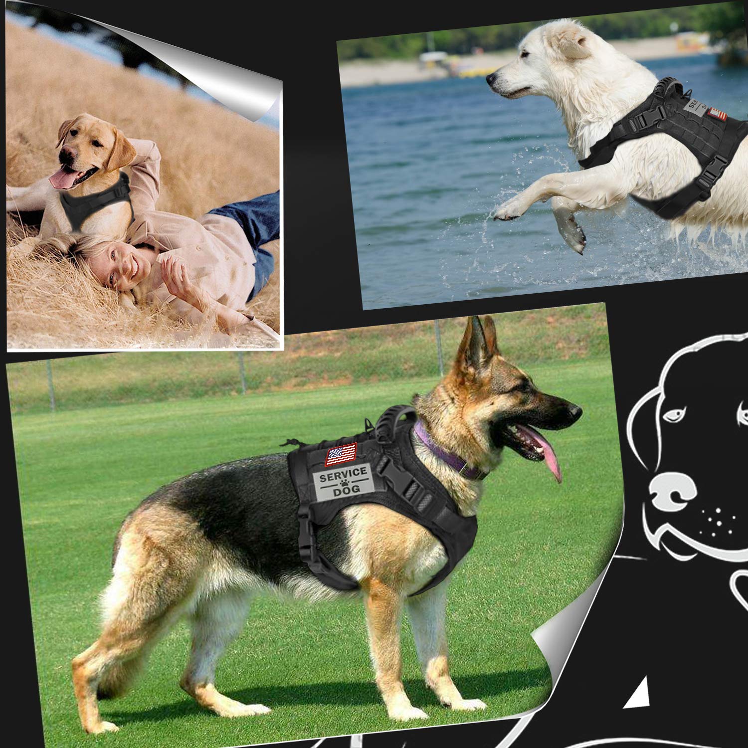 Système MOLLE avec panneaux et patches pour accessoires chien Hanshengday.