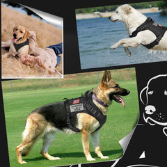 Système MOLLE avec panneaux et patches pour accessoires chien Hanshengday.
