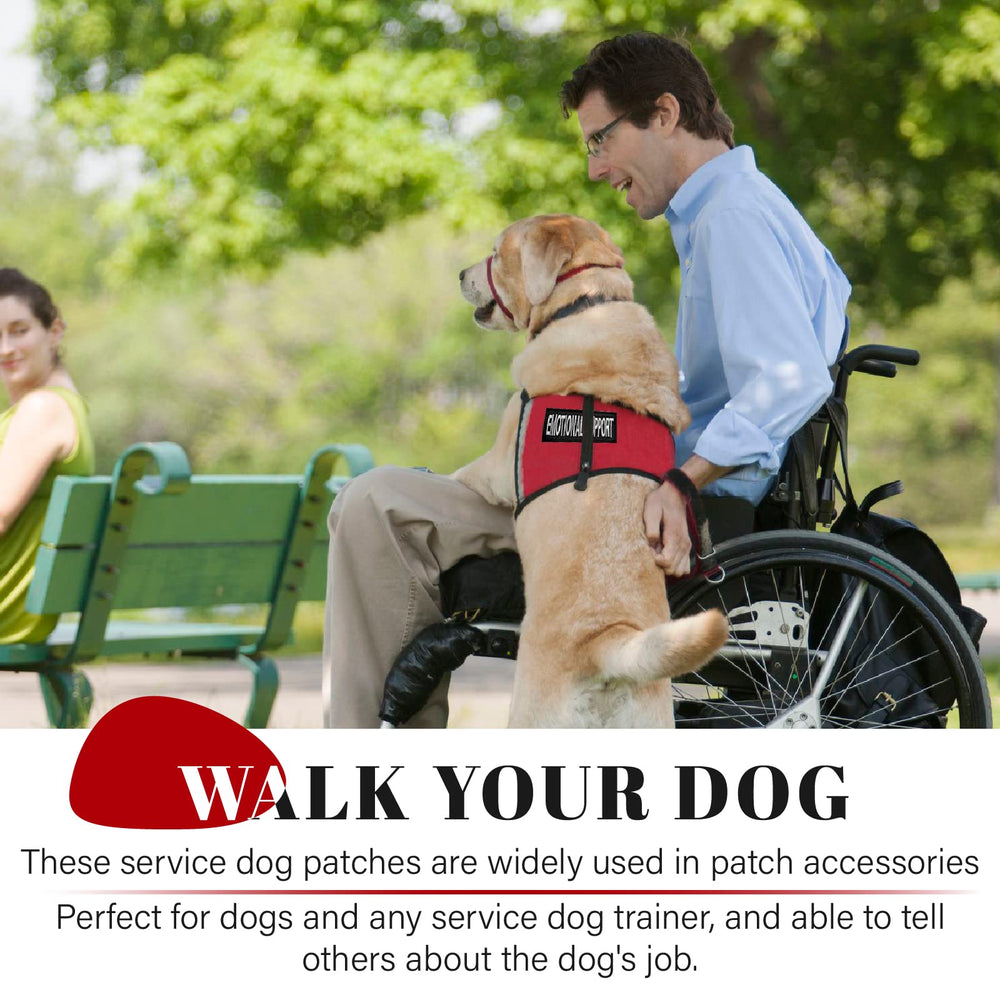Patch HANWER chien de service en formation, visuel clair pour les éducateurs.