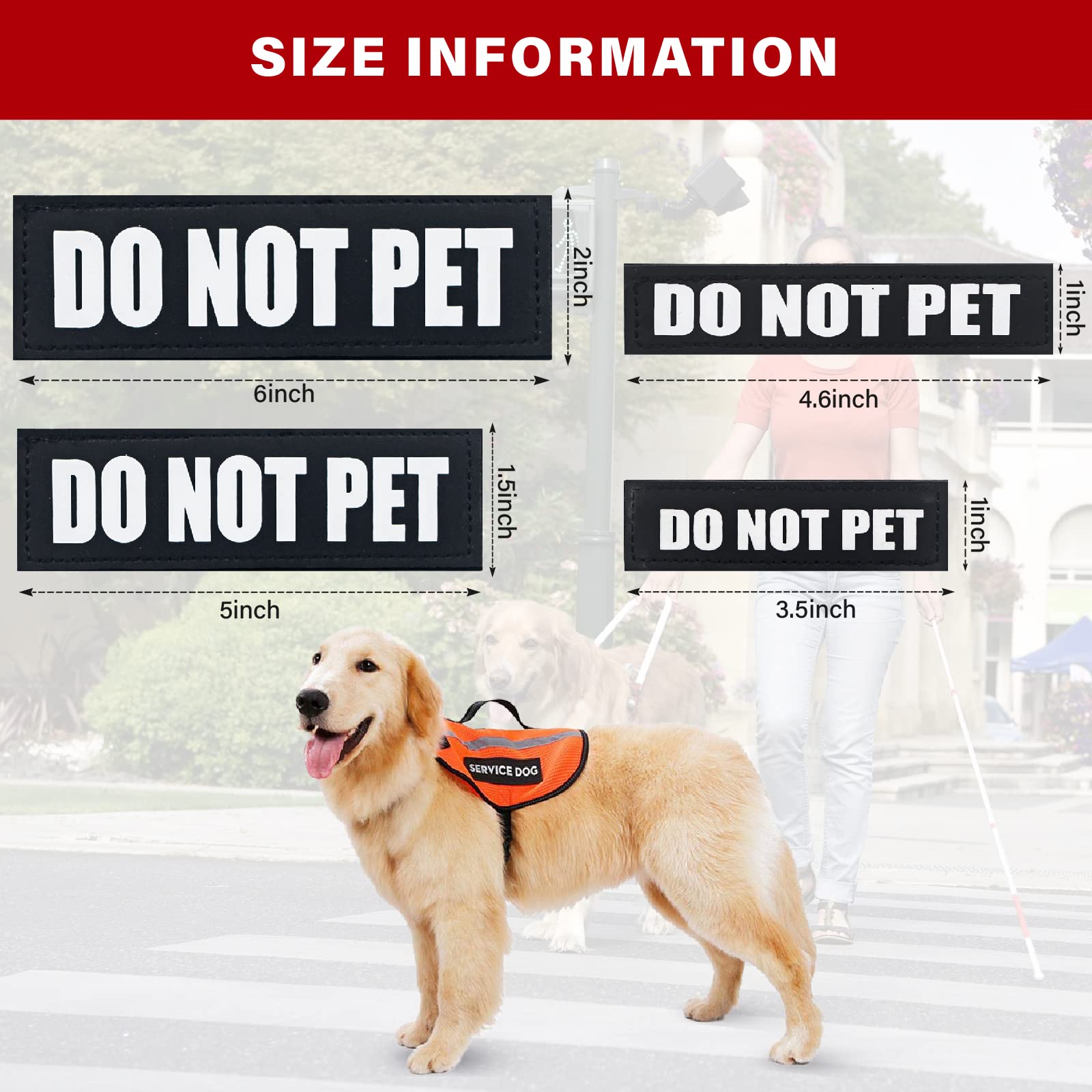 Patch HANWER en formation pour chien, indication claire de l’entraînement.