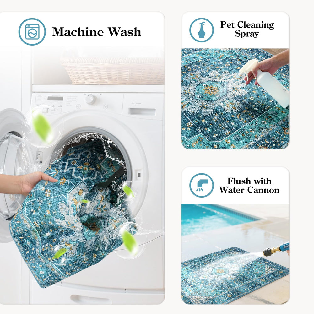 Tailles diverses HAOCOO bleu, adaptées pour chiots, adultes et seniors.