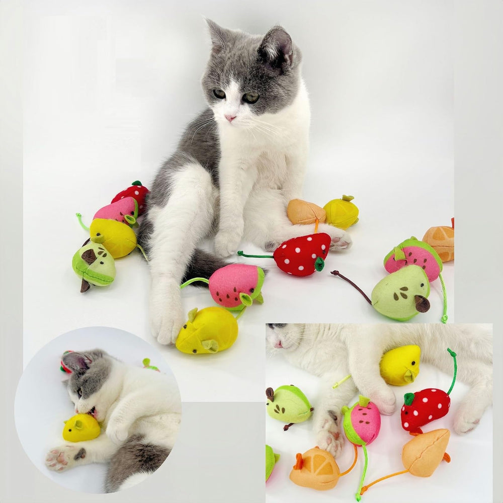 Haourlife Souris pastèque : design varié pour diversifier les sessions de jeu.