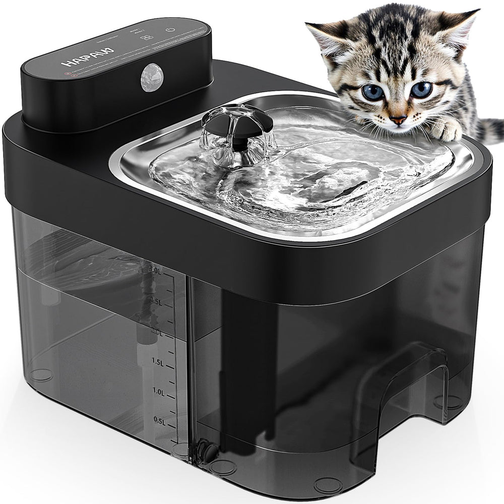 Fontaine Hapaw pour chats, capacité 3L, hydratation durable.