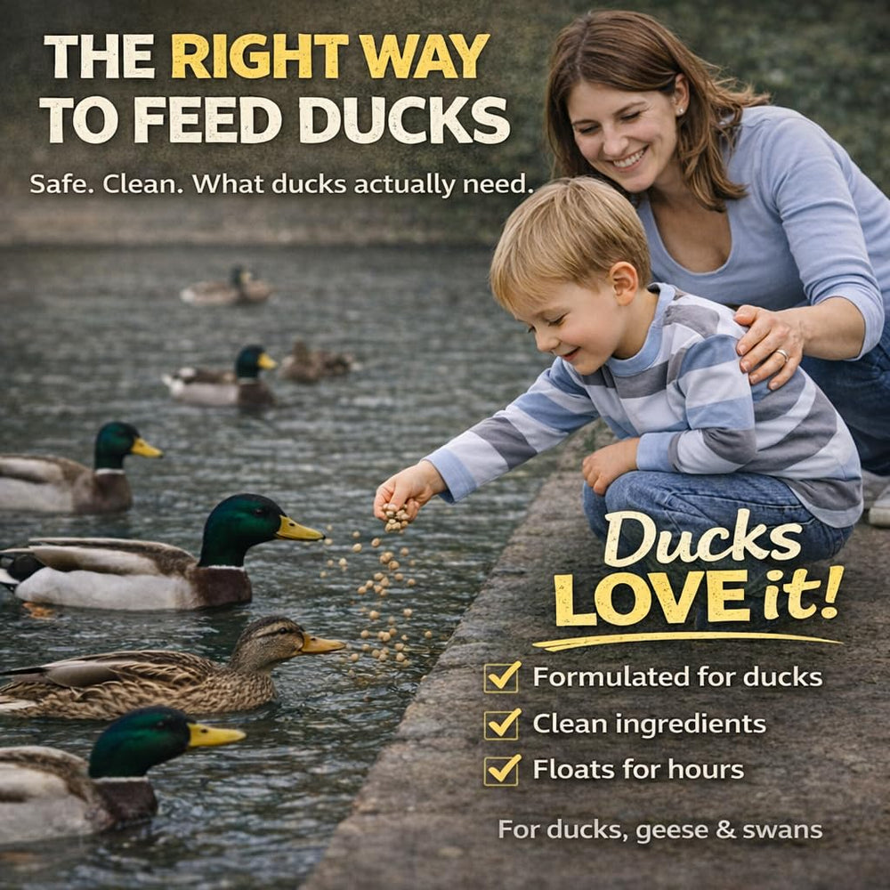 Hapetrails Alimentation canards et oies flottaison sur l'eau