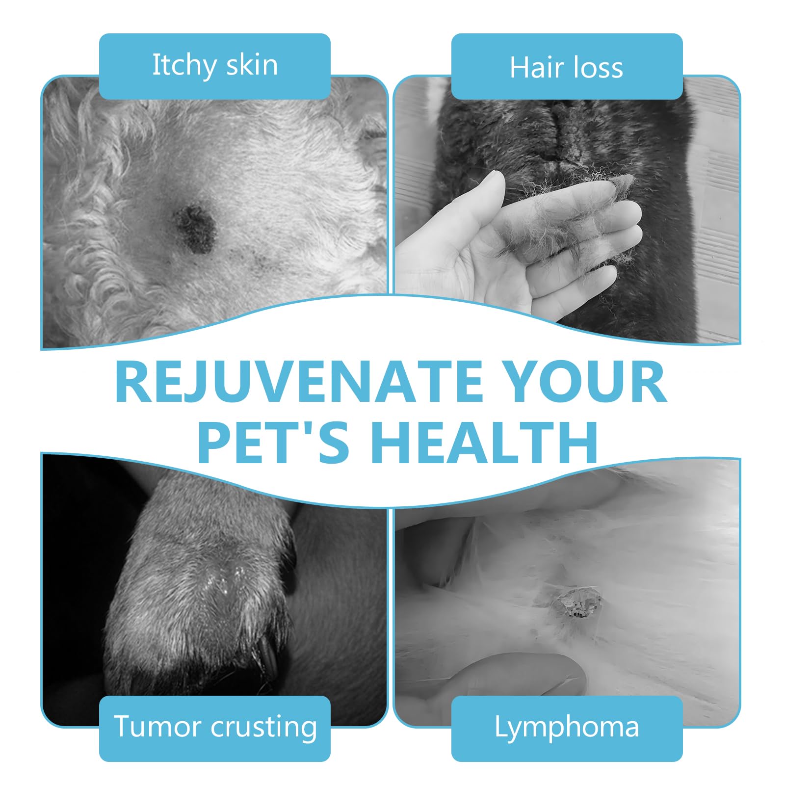 HAPIPET alternatives chirurgie lipomes chien – option non invasive pour les propriétaires.