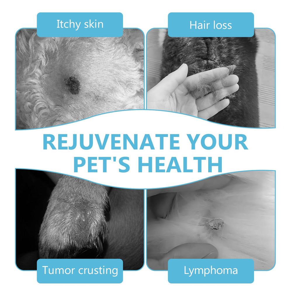 HAPIPET alternatives chirurgie lipomes chien – option non invasive pour les propriétaires.