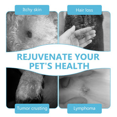 HAPIPET alternatives chirurgie lipomes chien – option non invasive pour les propriétaires.