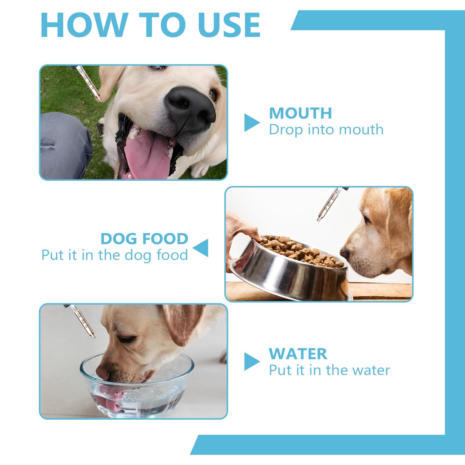 HAPIPET confort et sécurité – protection douce pour chiens sensibles lipomes.