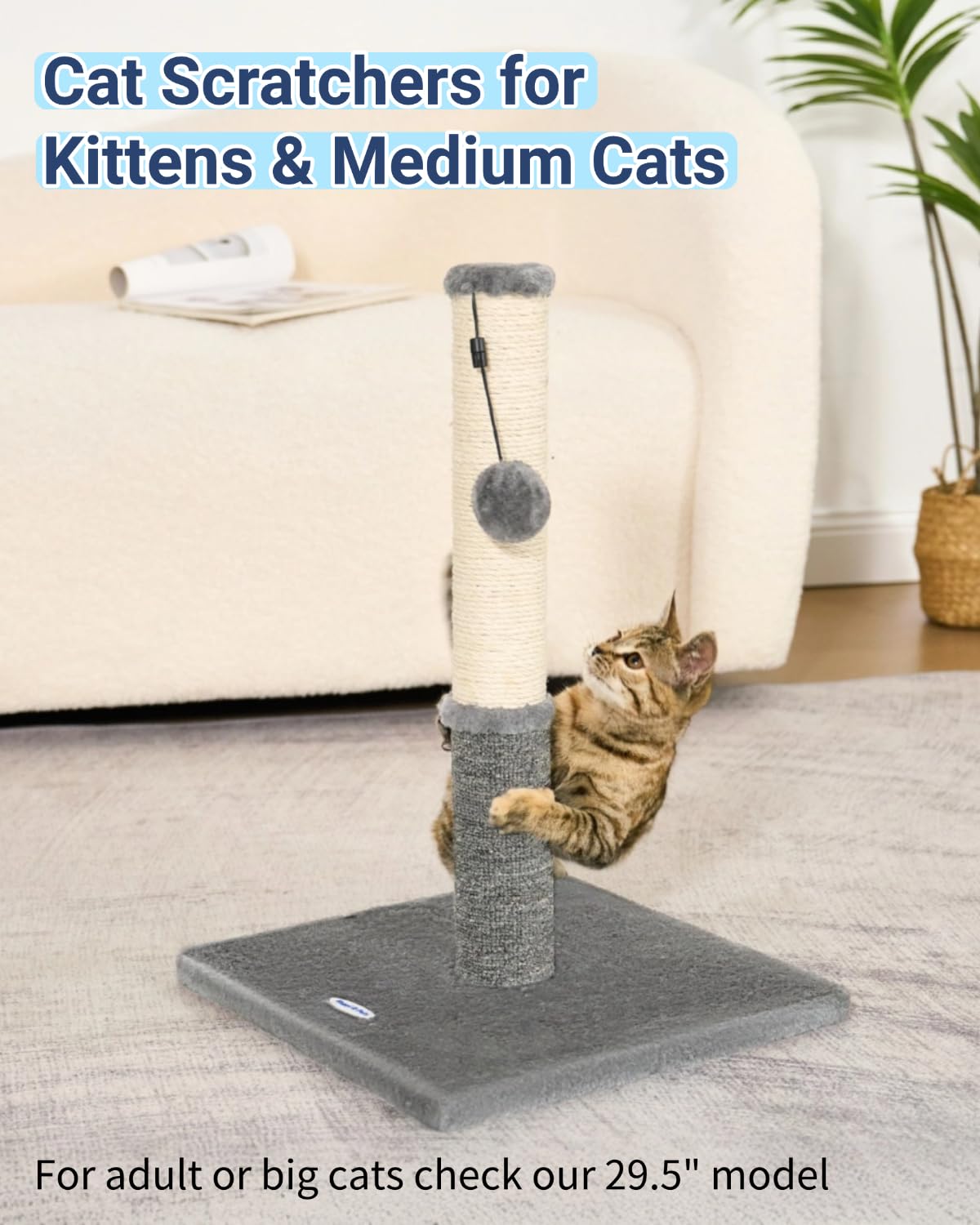 Option hauteur 75 cm pour grands chats