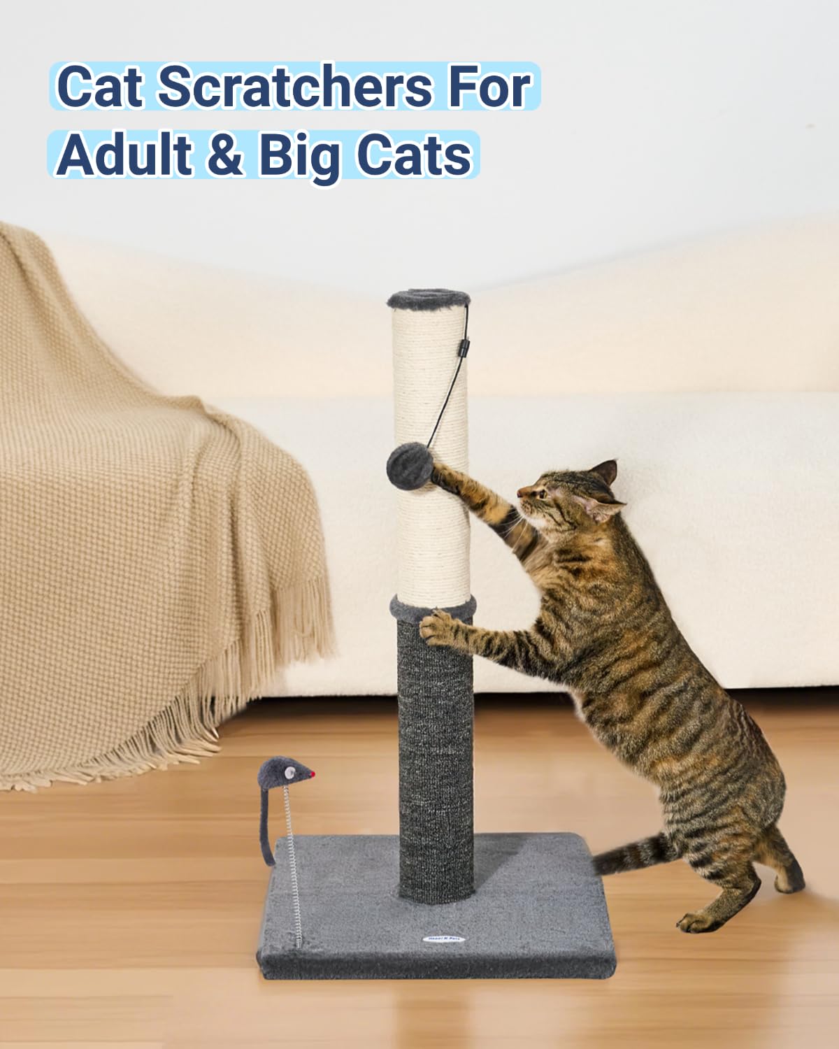 Design moderne et durable Happi N Pets pour intérieur élégant.