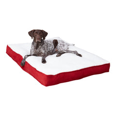 Happy Hounds Daisy Deluxe, vue avant, lit rouge avec coussin généreux pour chien.