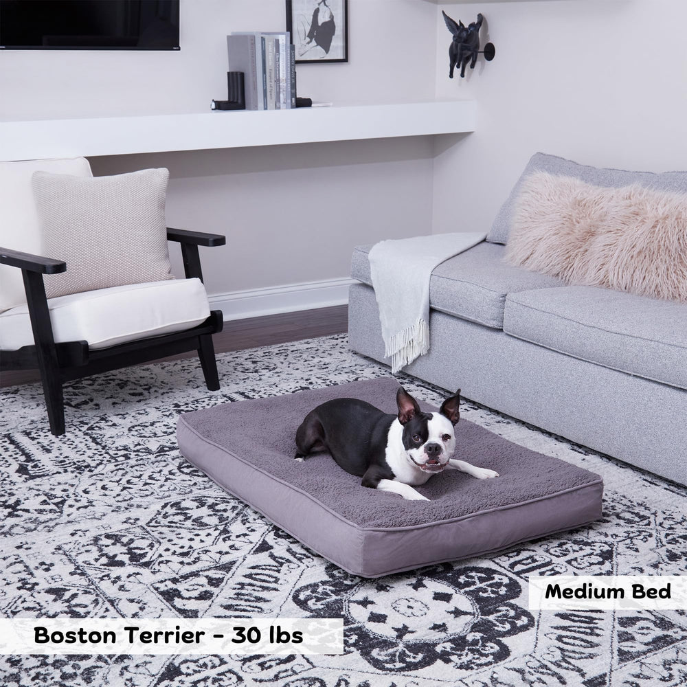 Happy Hounds Daisy Deluxe face microfibre veloutée offre douceur et durabilité.