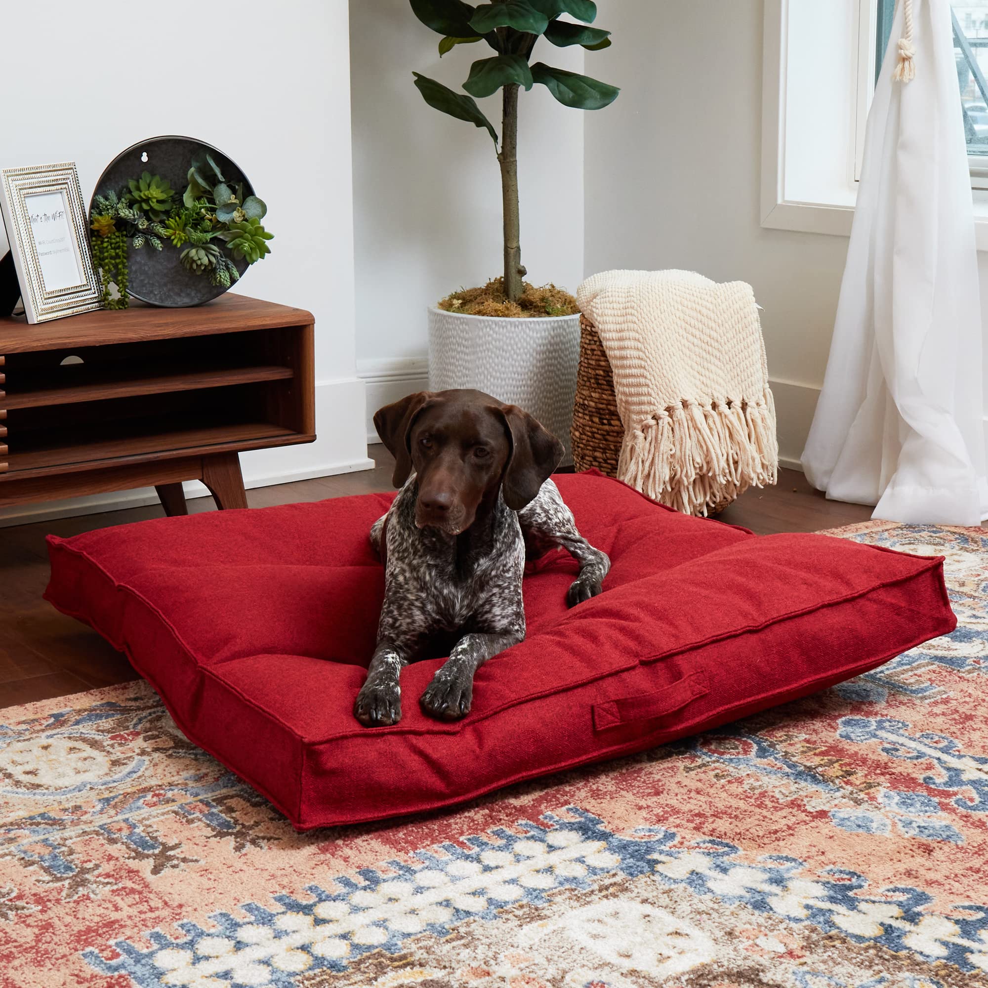 Happy Hounds Milo, rembourrage-polyfiber-100, confort durable pour les siestes.