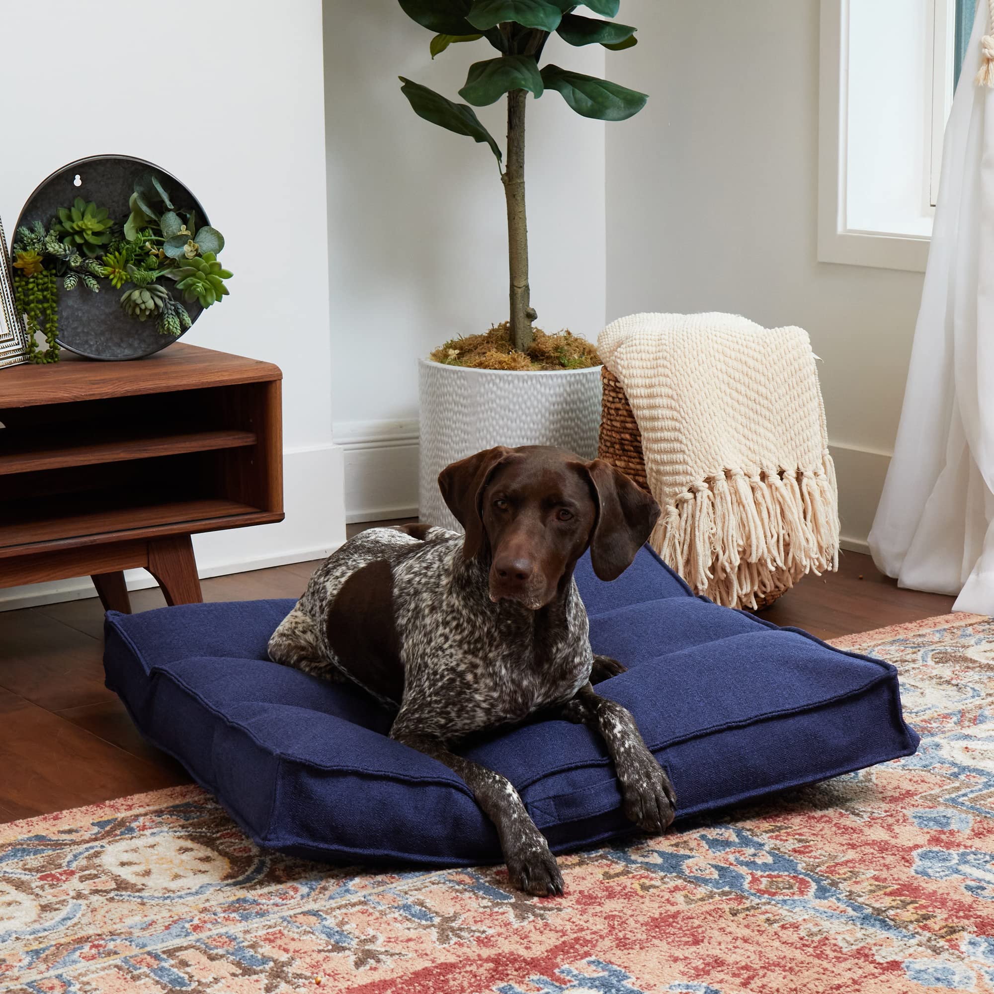 Happy Hounds Milo offre un rembourrage en polyfibres recyclees pour un confort durable.