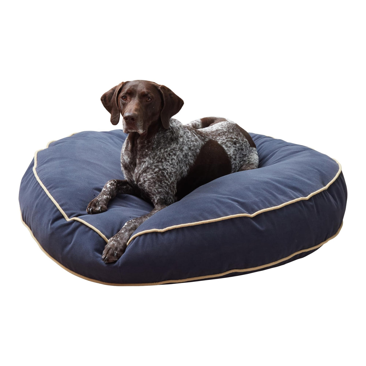 Happy Hounds Scout lit pour chien couleur bleu cobalt, forme ronde et confortable.