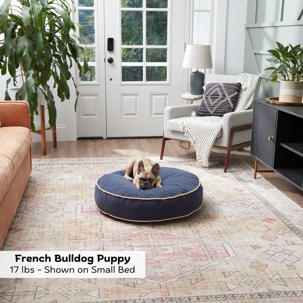 Happy Hounds Scout remplissage polyfiber recyclé, soutien doux et durable.